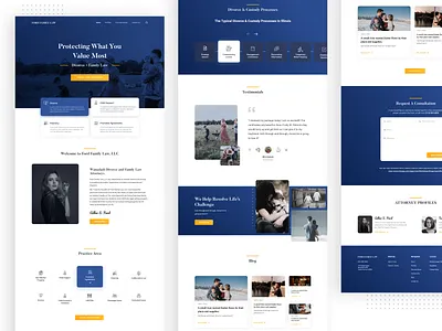 Landing Page - Ford Family Law agensip blog blue card clean design family law firm homepage landing landing page landingpage law firm portfolio profiles testimonial uidesign uxdesign webdesign website website design