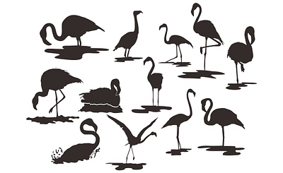 The Flamingo Bird's Silhouette animal animal art animal illustration animals bird design flamingo illustration inspiration line art lineart studio vector vectors