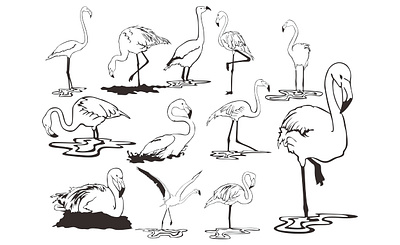 Set Flamingo Bird with a Line Art Style animal animal art animal illustration animals art artwork bird birds decoration design illustration inspiration line art lineart studio vector