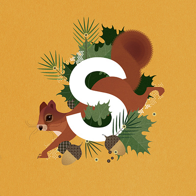 Squirrel alphabet animal digital folioart illustration nature plants sally caulwell texture vector wildlife
