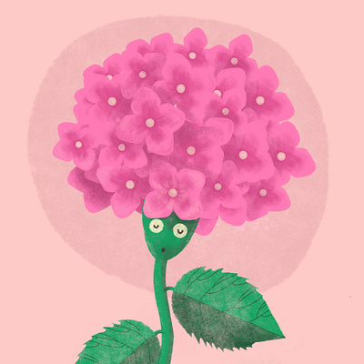 Hydrangea childrens book illustration plants