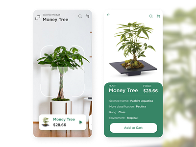 Item Scanning UI Design app appdesign mobile mobile ui mobileapp money tree plant scan scanning tree ui ui ux ui design uiux user experience userinterface ux uxdesign uxdesigner