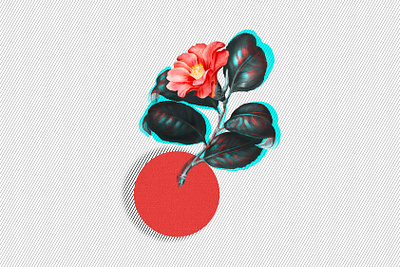 Digital Flower botanical illustration collage design digital digital art digitalart dribbbleweeklywarmup flower glitch photoshop vintage