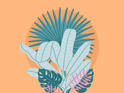 Tropical Plants illustration palms plants tropical