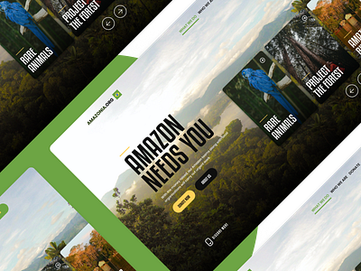 Amazon Donate Concept amazon desktop flatdesign nature ui interface