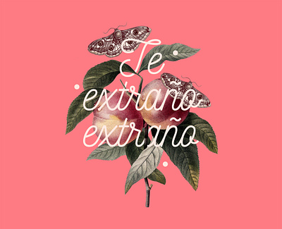 Te extraño, extraño collage illustration moth plants type