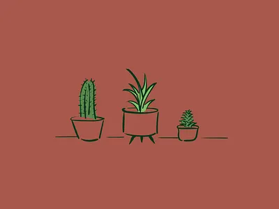 Plant Illustrations cactus design illustration succulent vector