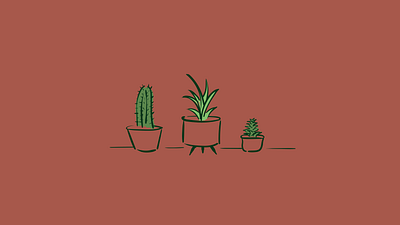 Plant Illustrations cactus design illustration succulent vector