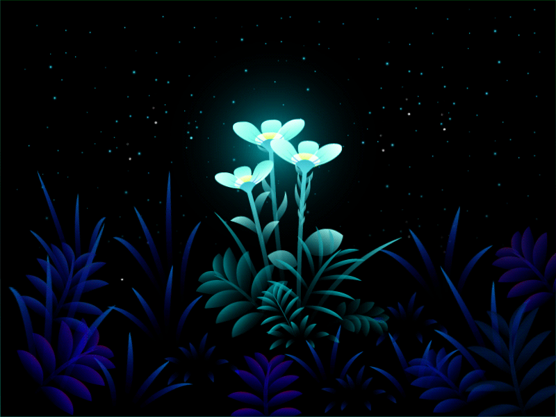 Virtual Garden - 01🌿 after effects animation dribbbleweeklywarmup flower garden grass illustration motion virtual