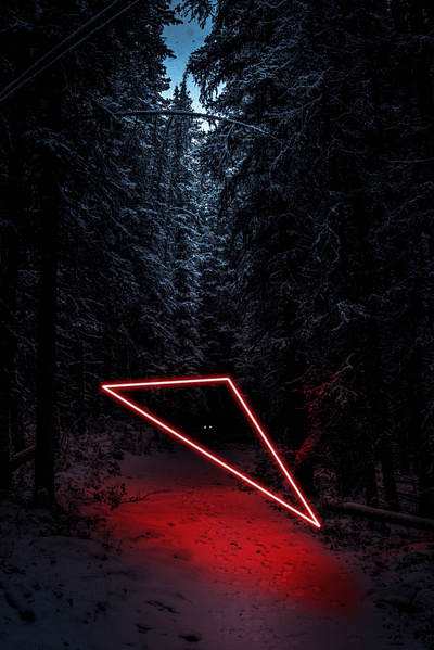 Neon Lights in the Forest forest glow lights neon neon lights photoshop red