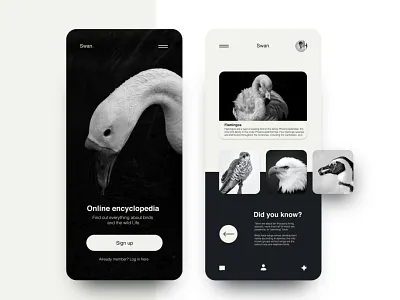 Online encyclopedia app app app design application encyclopedia mobile swan ui ui design uidesign uiux ux ux ui ux design uxdesign webdesign