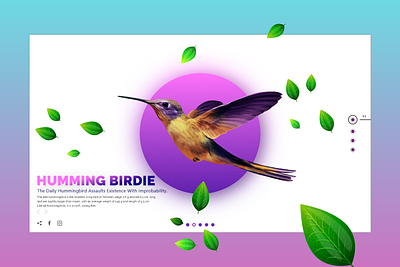 Humming Birdie animation branding design designer illustration typography ui ux uidesign uiux webdesign