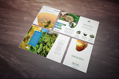 Brochure Design adobe indesign branding brochure brochure design cannabis branding cannabis design clean design design graphic design graphicdesign illustration indesign modern design production design