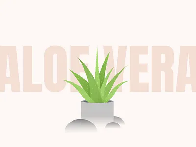 Aloe Vera Plant aloe vera dribbbleweeklywarmup figma figma design illustration krvin philippines plant illustration plants tropical
