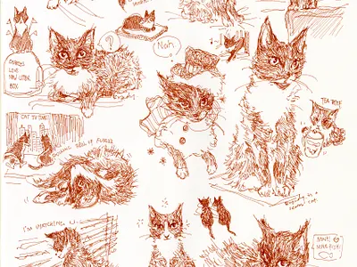 kitty sketch! cat cat illustration cute graphic illustration ink sketch