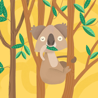 Koala animals childrens book illustration koala