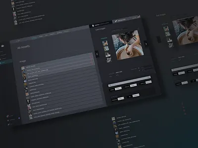 Creative Asset Library branding copy dark theme editing image library app library graphic design media media player multimedia storage ui ux web application