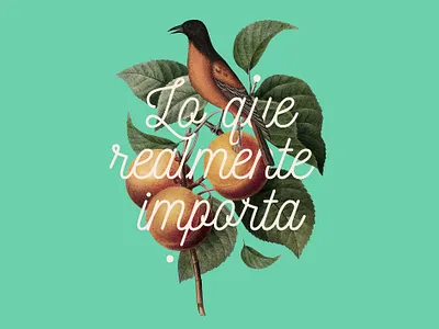 Lo que realmente importa animals bird collage illustration plants type