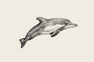 Hand Drawn Dolphin Animal Sea animal animals animation artwork design dolphin fish flat hand drawn icon illustraion illustration logo minimal