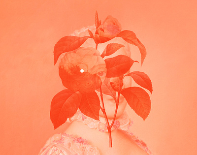 Las imágenes como los pensamientos collage flower illustration plants woman
