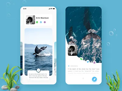 Marine biological knowledge application app contracted cuberto figma graphics icons illustration illustrations interface introduce ios knowledge ocean ui uiux ux vacation web design