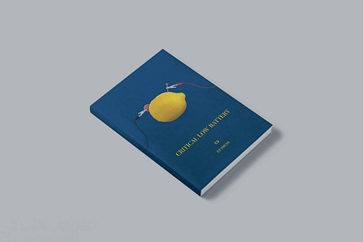 Critical Low Battery book book cover cover design illustraion poetry