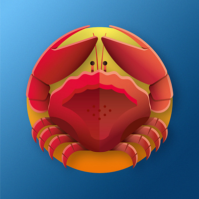 The Zodiac Signs - Cancer adobe illustrator blue cancer color crab flat design gradients illustration medallion orange product design red texture vector vector illustration zodiac zodiac signs