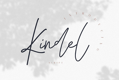 Kindel Script by Vladimir Fedotov font freefont handwrittenfont scriptfont typography