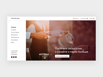 Home screen concept concept design web design wine