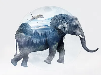 Elephant art direction design double exposure lightroom photography photoshop retouch