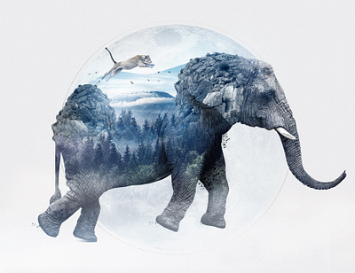 Elephant art direction design double exposure lightroom photography photoshop retouch