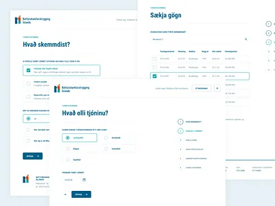 The Natural Catastrophe Insurance of Iceland clean simple minimal damage digitial iceland process questionnaire report webapp