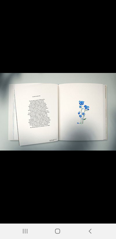 Forget me not- illustration watercolor branding design illustration typography watercolor watercolorbook watercolorbook