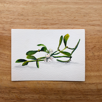 Mistletoe Watercolor botanical art floral art mistletoe painting watercolor watercolor painting