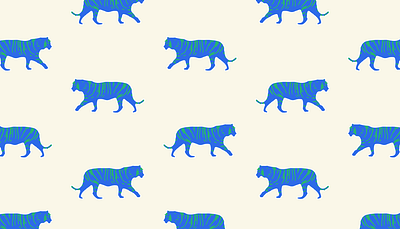 Tiger K branding design icon identity illustration vector