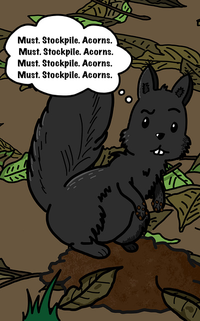 Black Squirrel art children book illustration childrens book childrens illustration illustration squirrel