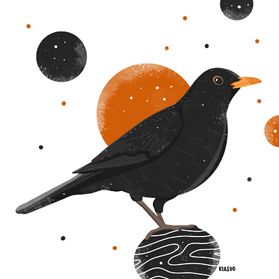 Amsel amsel artwork bird bird illustration draw drawing illustration illustration art illustrators ipadpro kiasue procreate procreate drawing