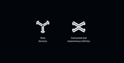 Logos for two company solutions: Data Services and CAVs design logo visual identity