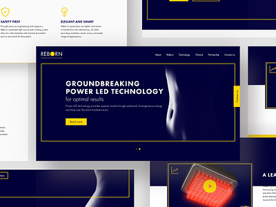 Professional fat reduction Website colorscheme com mando css design figma html ui uidesign ux web wordpress wordpress design wordpress development