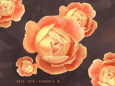 Rose 2020 art artist design illustration picture procreate rose