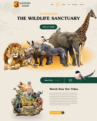 african safari forest life home homepage landing landingpage lions safari landing page wild animals wild life safari wildlife landing page