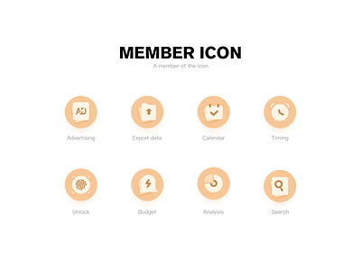 Member Icon icon illustrations ui 应用 设计