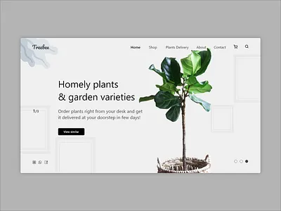 plants web landing page UI adobexd illustration photoshop plant plant illustration ux webui