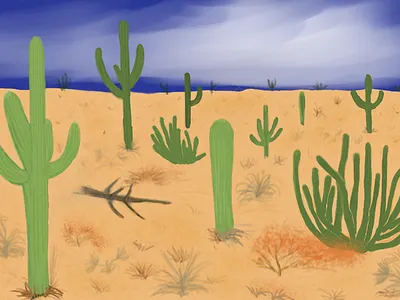 Arizona arizona bur cactus desert heat illustration landscape nature sand swelter wildwest