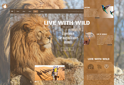 life in the wild webdesign mockup adobe illustrator adobe photoshop adobe xd modern typography vector