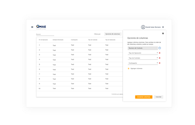 MAE Dashboard and Column Options app design ui