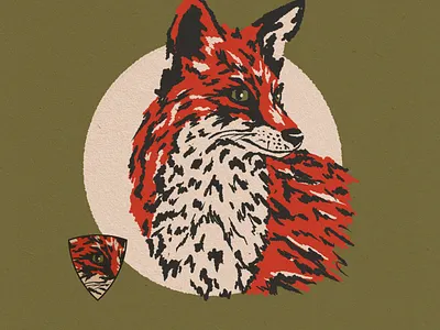 Fox Illustration branding design fox illustration procreate