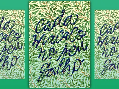 Cada Macaco no seu Galho art direction artwork calligraphy hand lettering handlettering illustration lettering proverbs quote script series