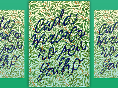 Cada Macaco no seu Galho art direction artwork calligraphy hand lettering handlettering illustration lettering proverbs quote script series