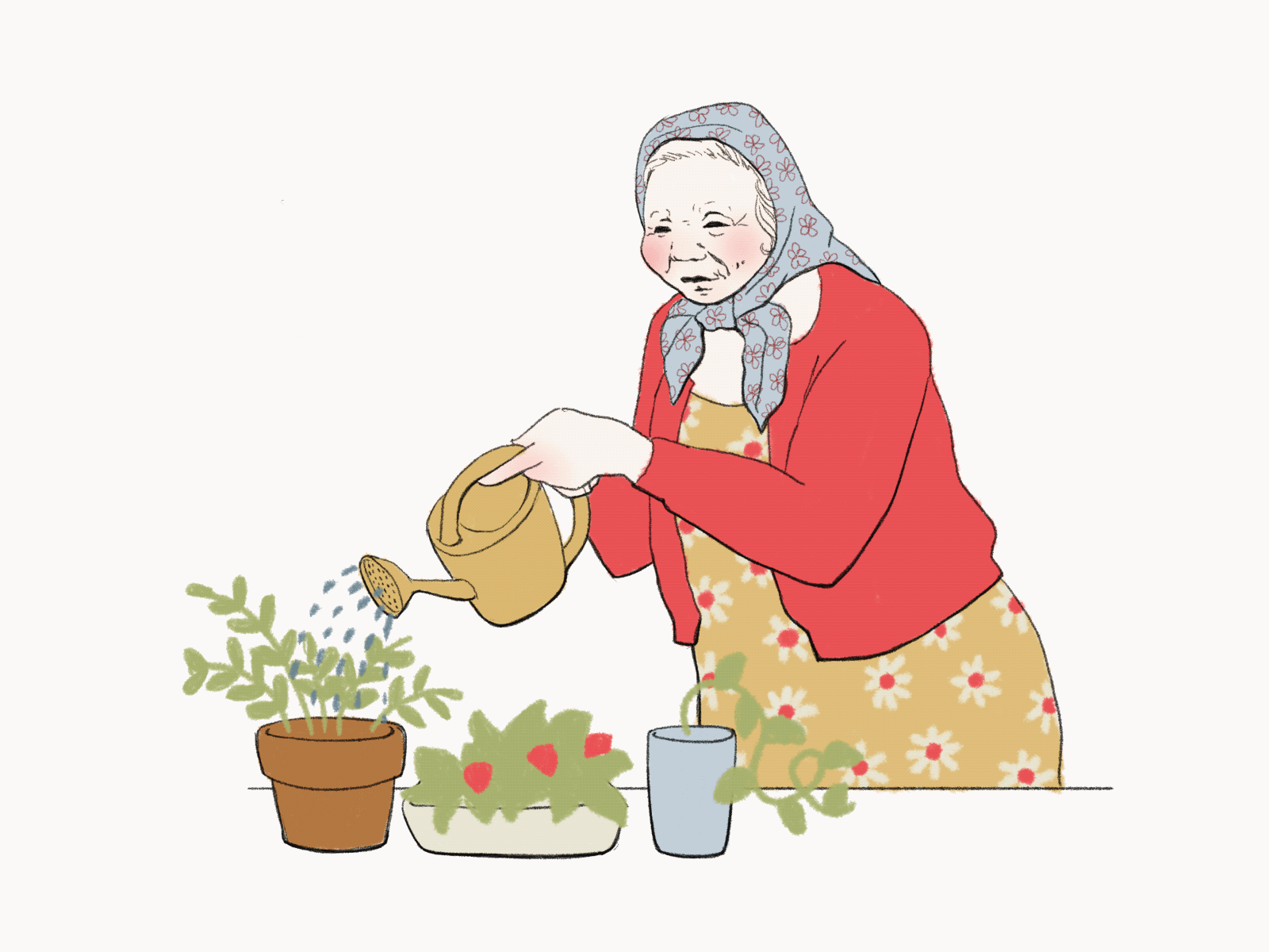 Baba Waters the Garden baba babushka character garden gif gran grandmother illustration illustrator line art portrait potted plant potted plants